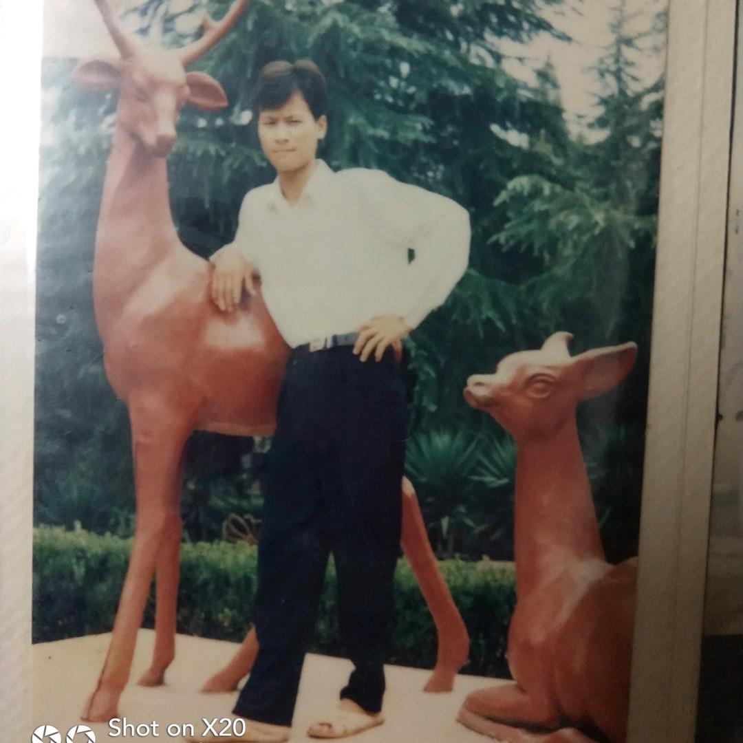 福乐