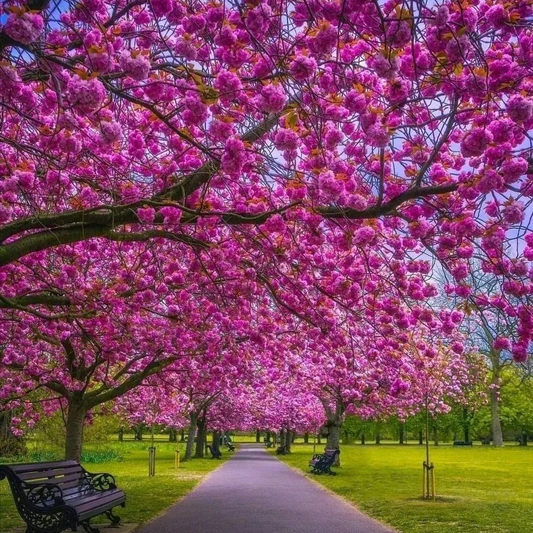 🍀随心随缘🍀