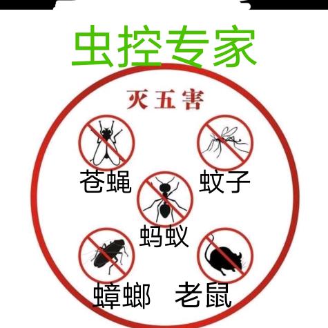 小飞侠除虫环保