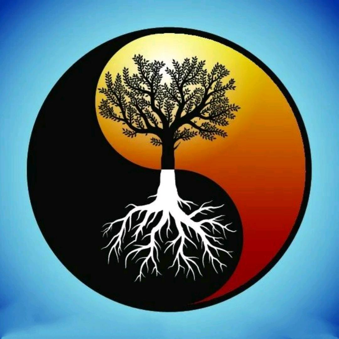 健康管理师