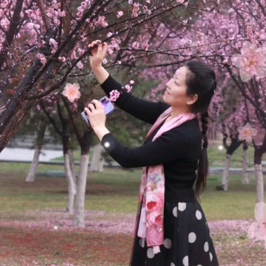 🍃叶子🍃