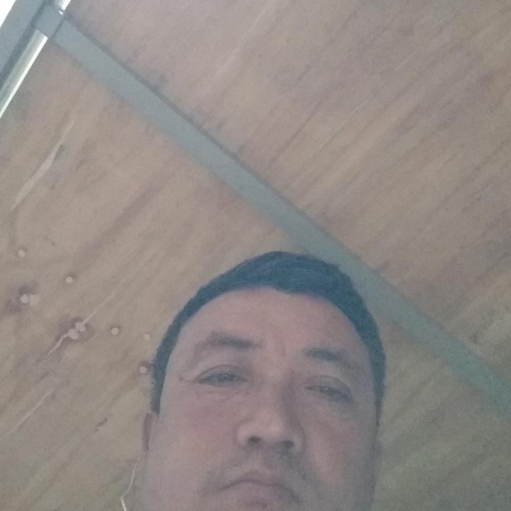 漂泊人生