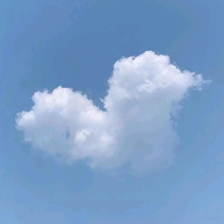 🔥东哥的日常