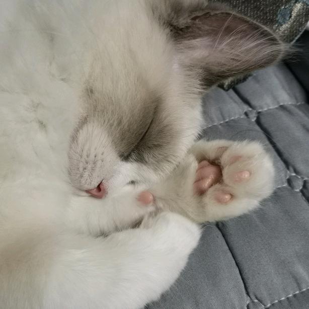 小溪