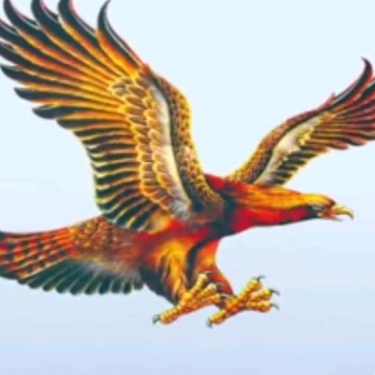 ꧁࿆ั默笙✾࿆꧂