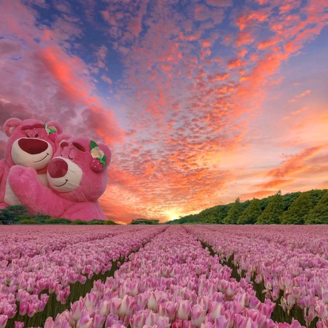 微笑ε(*･ω･)向暖