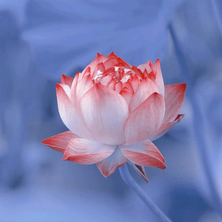 🌈🌈🌈🌈漪楹