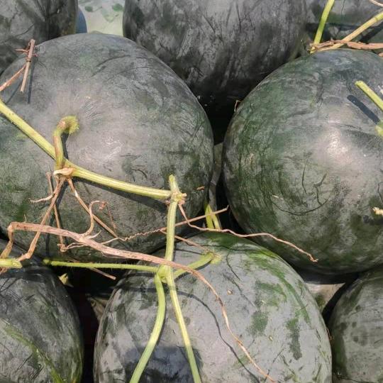 上次