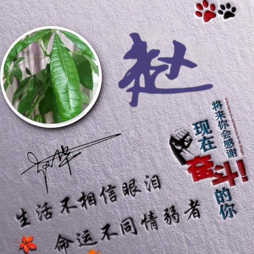 赵培泉