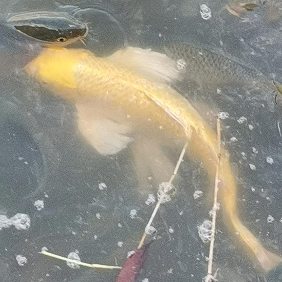 放下过往云烟？