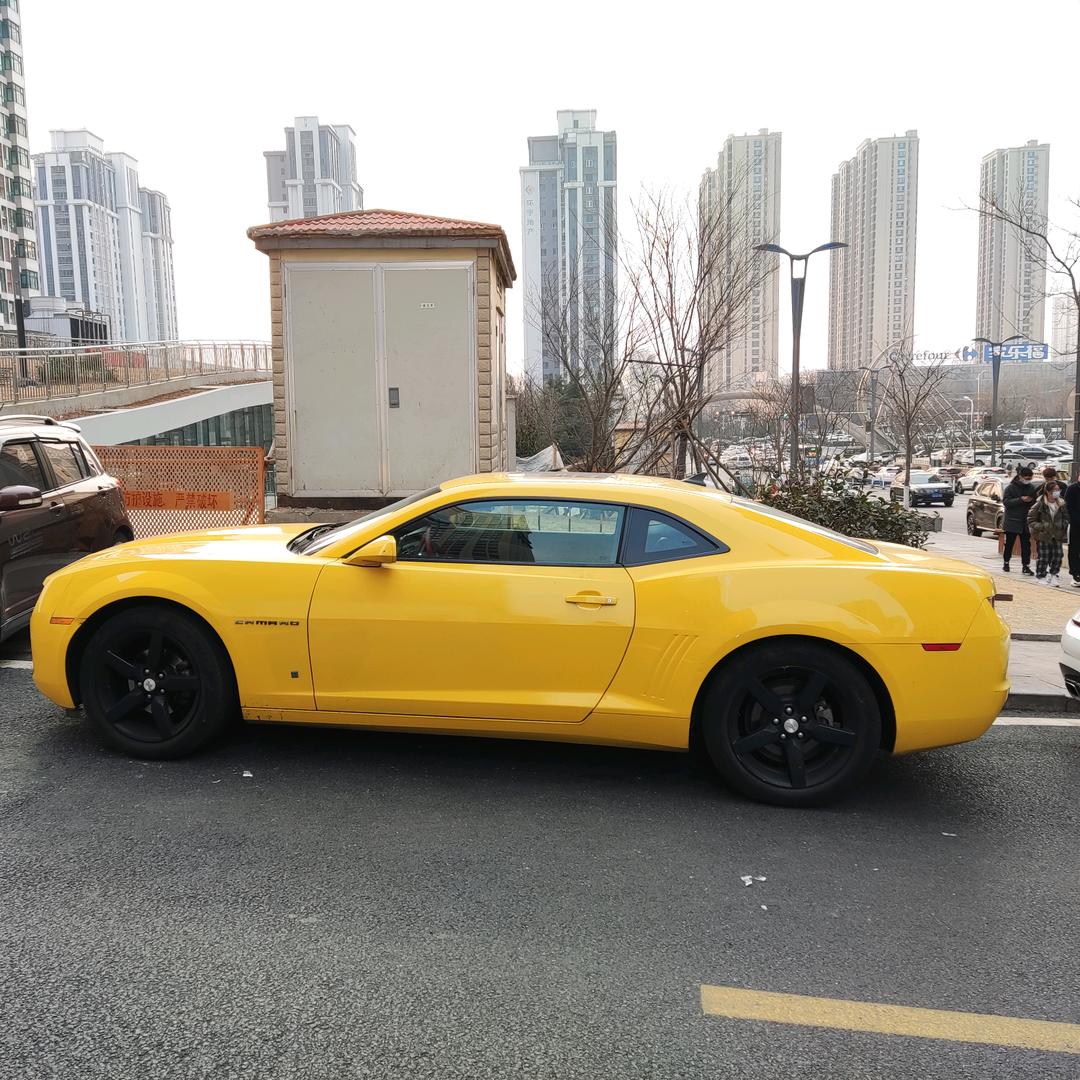 杨杨得意