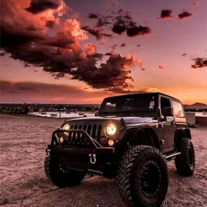 让花成花让树成树