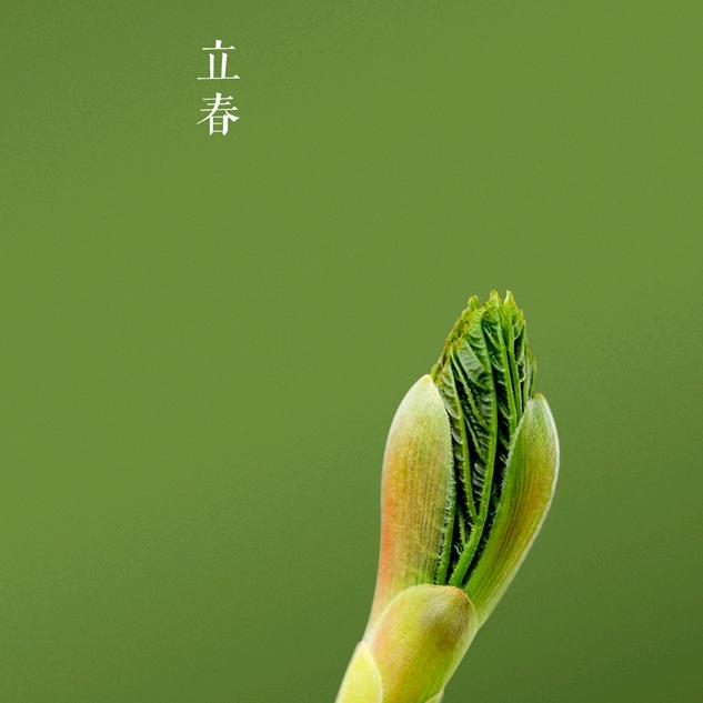 人生就要面对现实