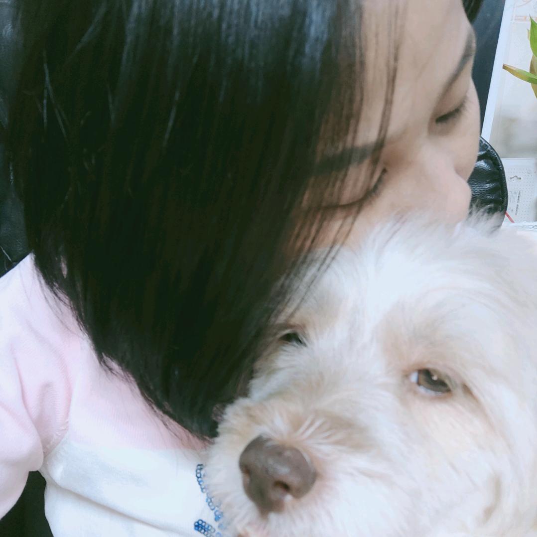 乖乖🐶好剧场