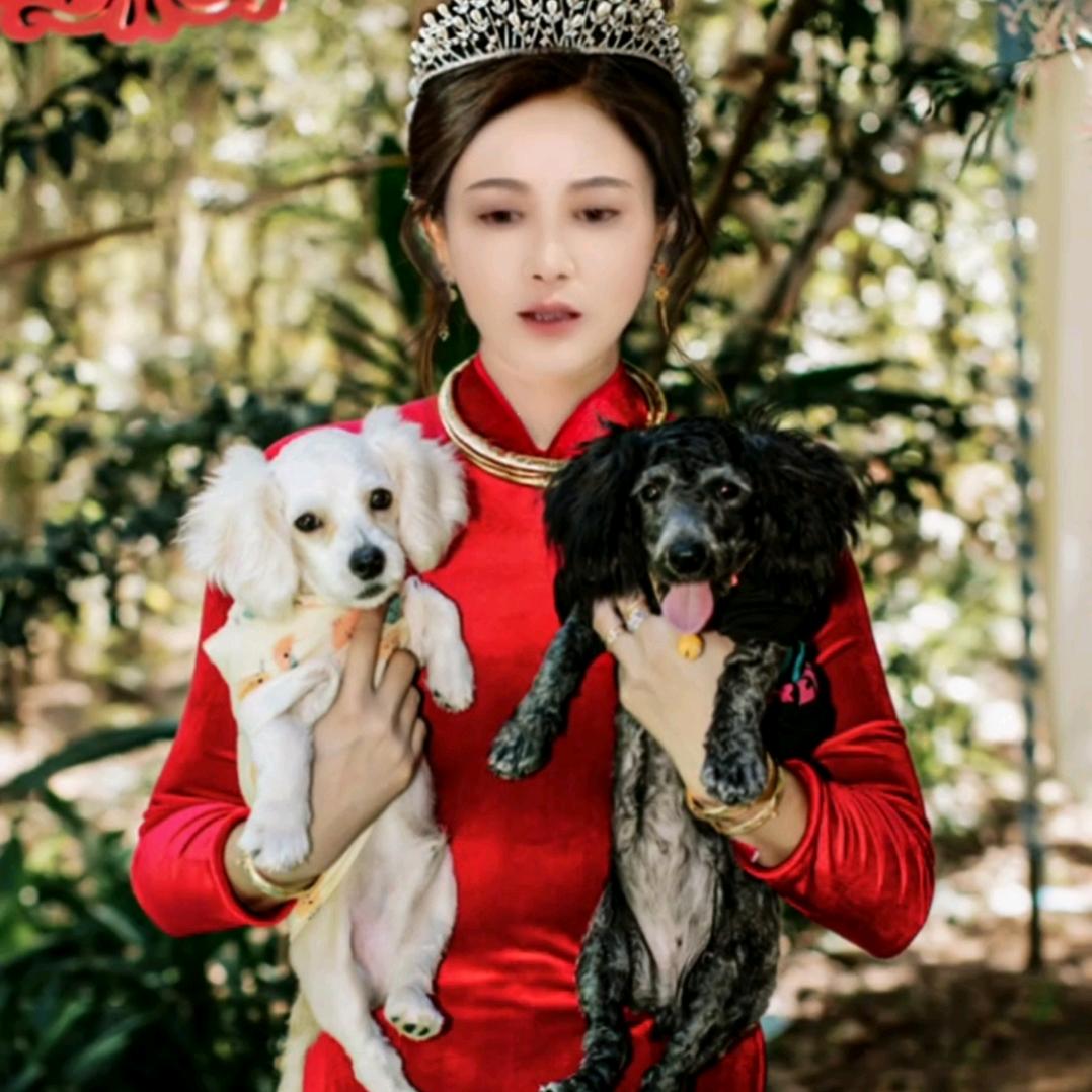 谁都不爱 别烦我