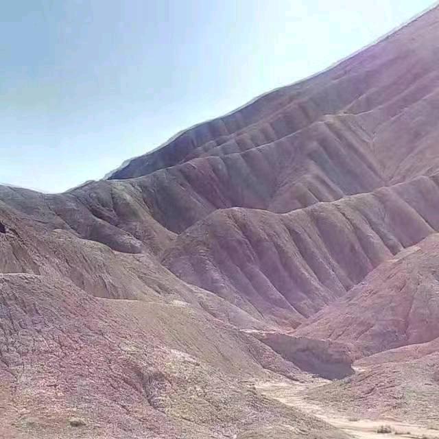 红韵