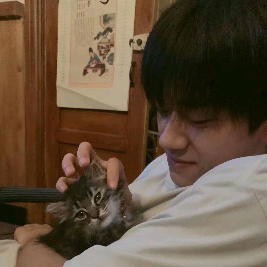 二十✨