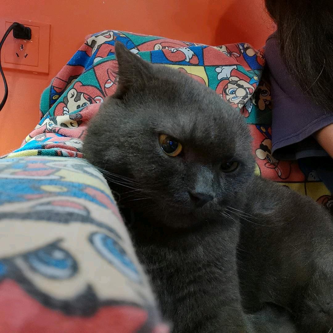 你的心动女生