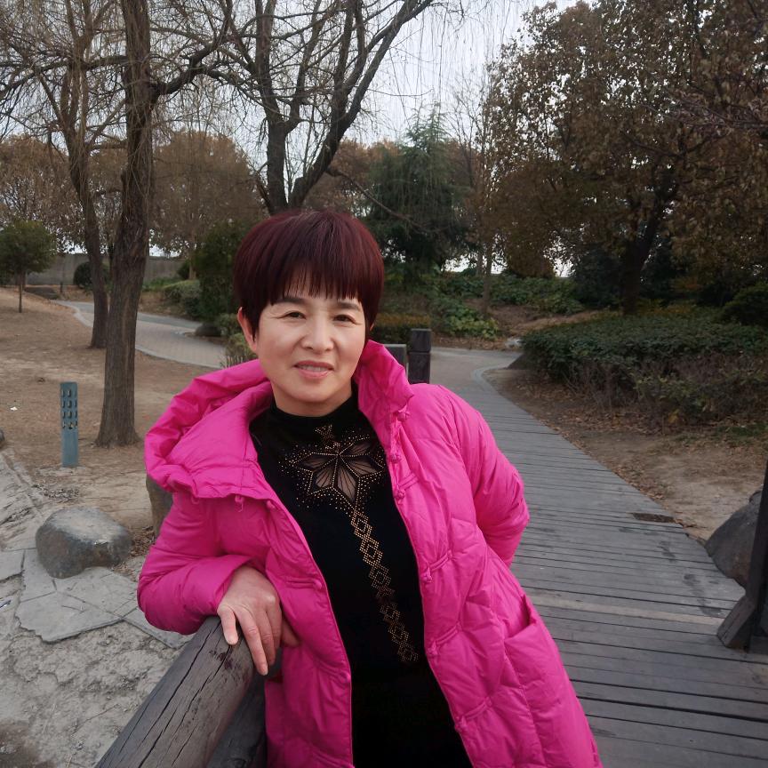 杨七妹胜城金刚网