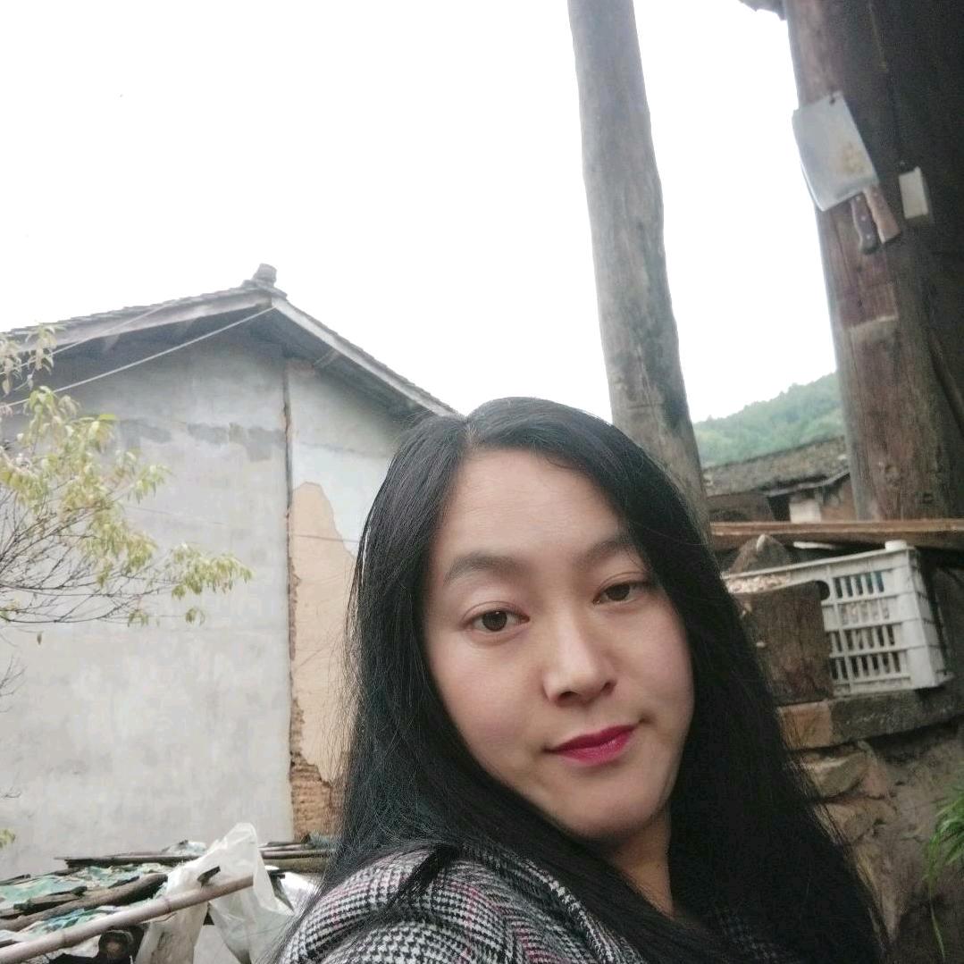 杨群的羊