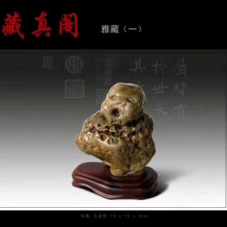 真有趣