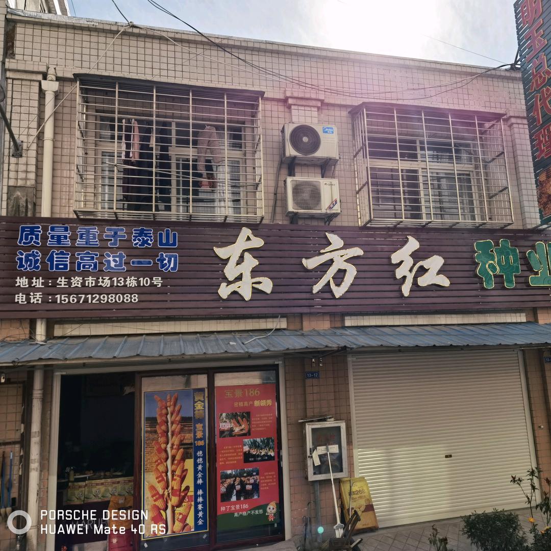 玉黄大地