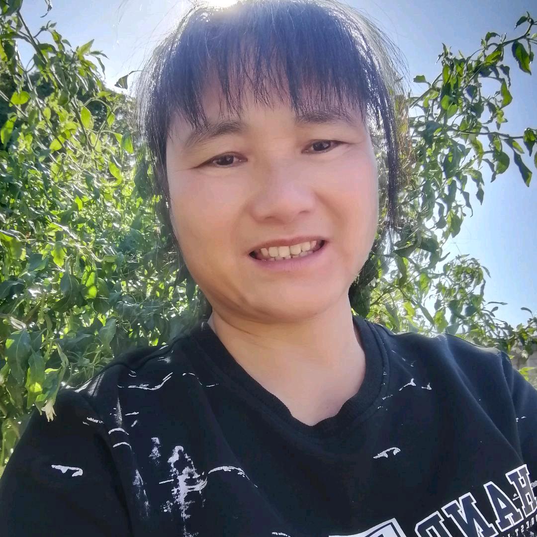 美梦姐