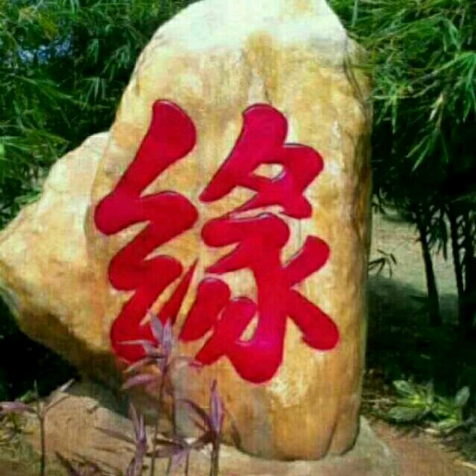 🌷🌹情缘🌺💐