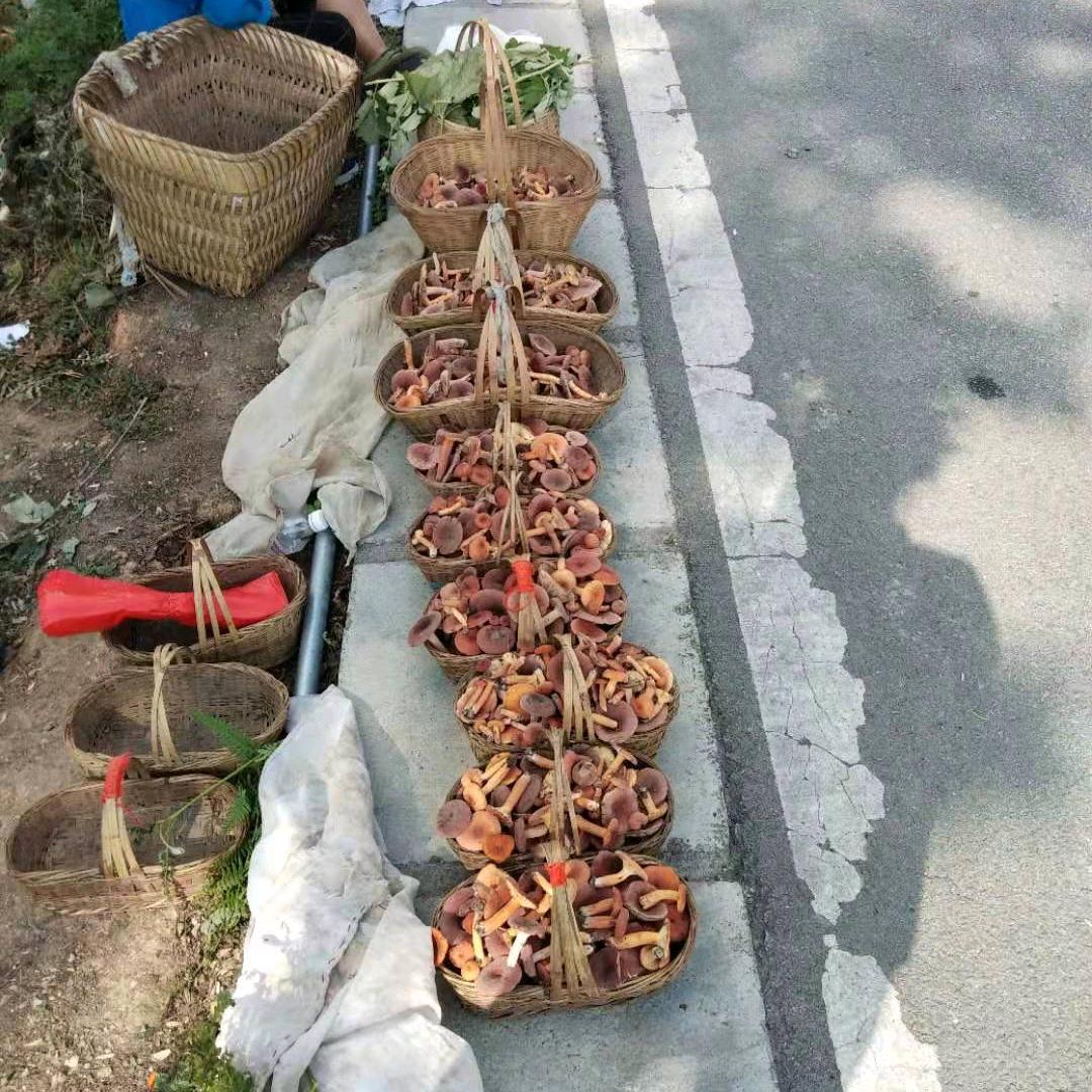 天若有情天易老、人间正道是苍桑😂😂