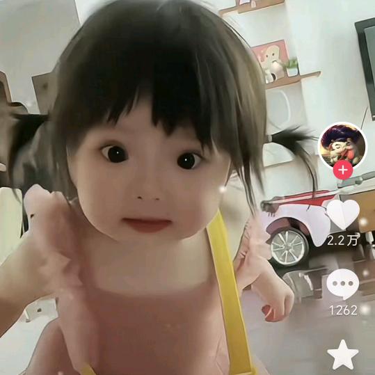 格桑花