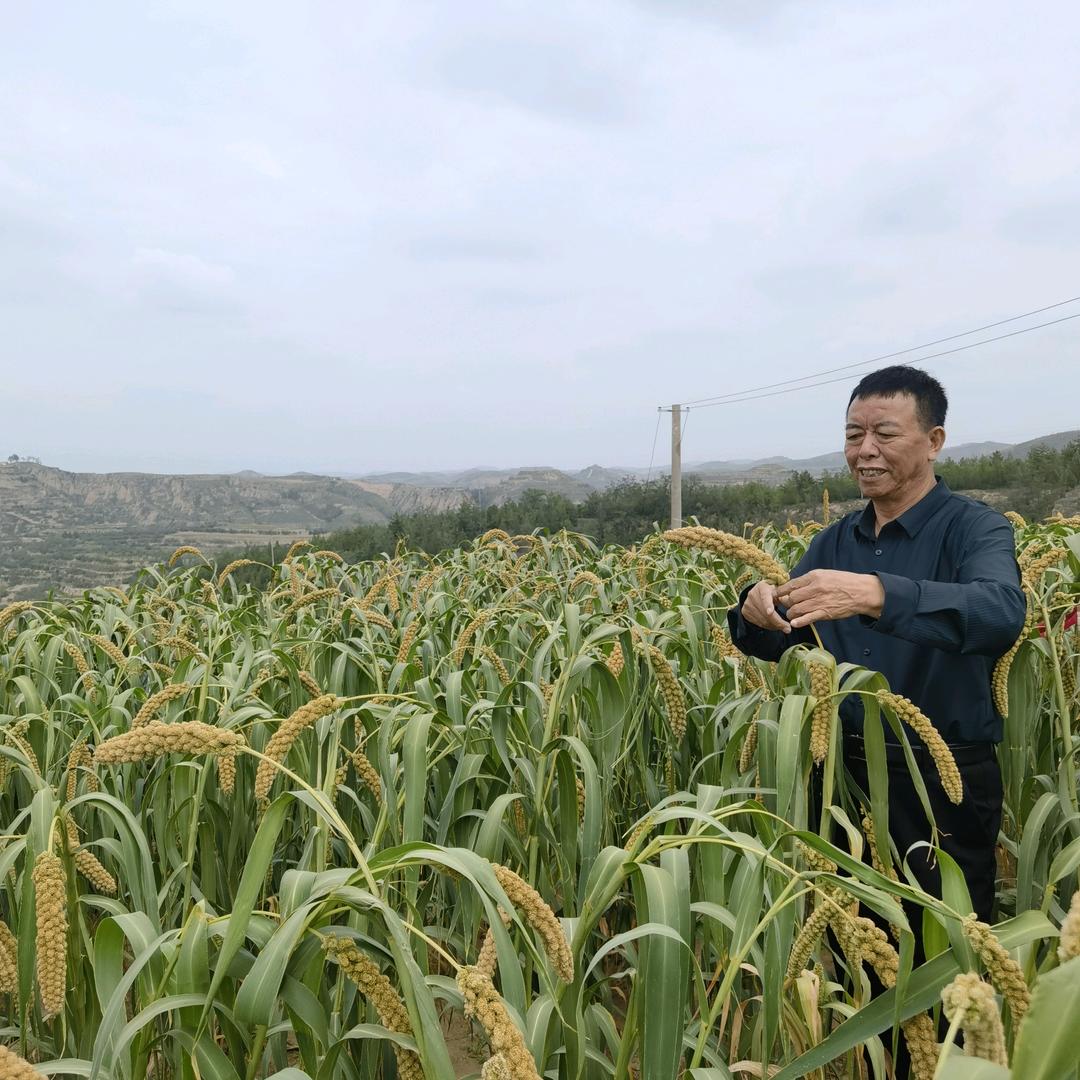 老马学习