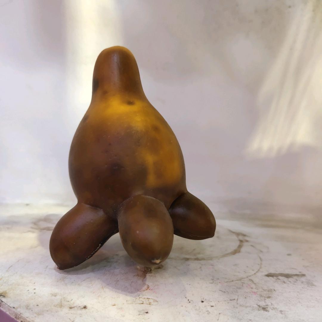 ヽ何必要矜持