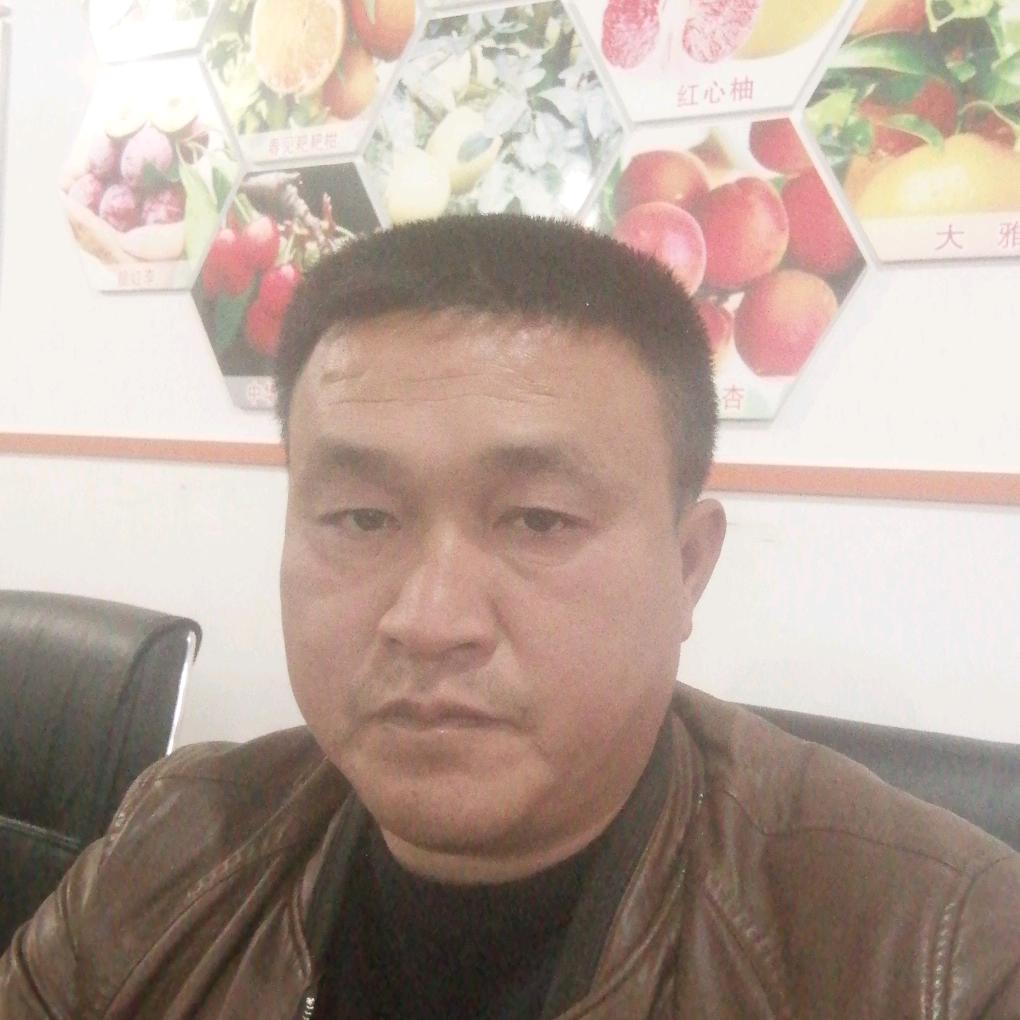 陈永飞66