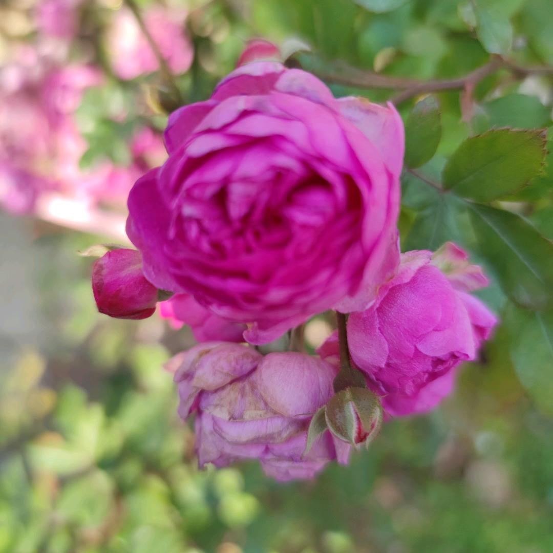 姜堰区王氏开锁服务部