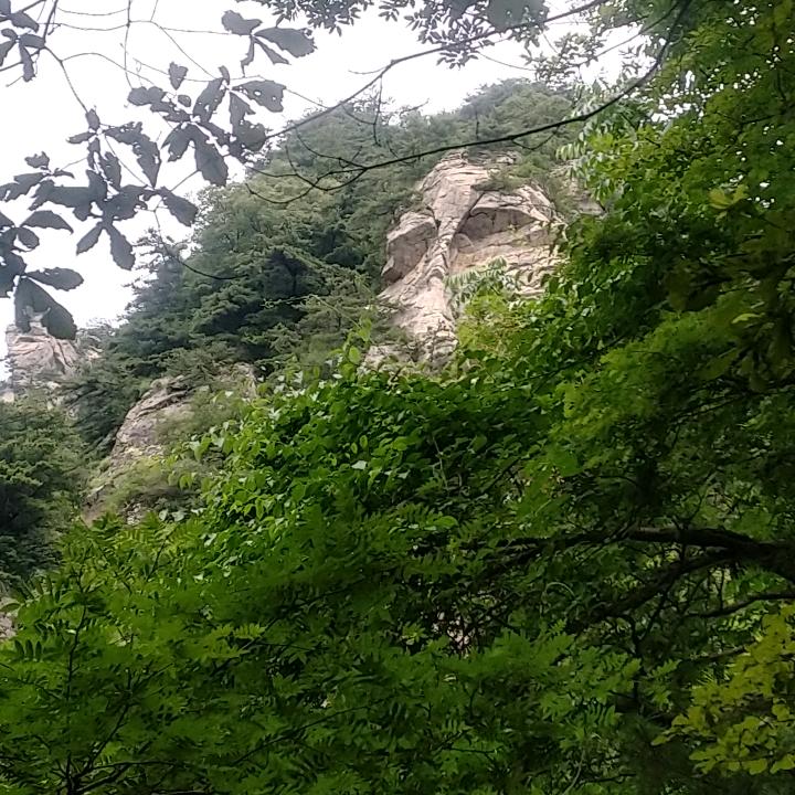 一丨丶丿乛小孩子_