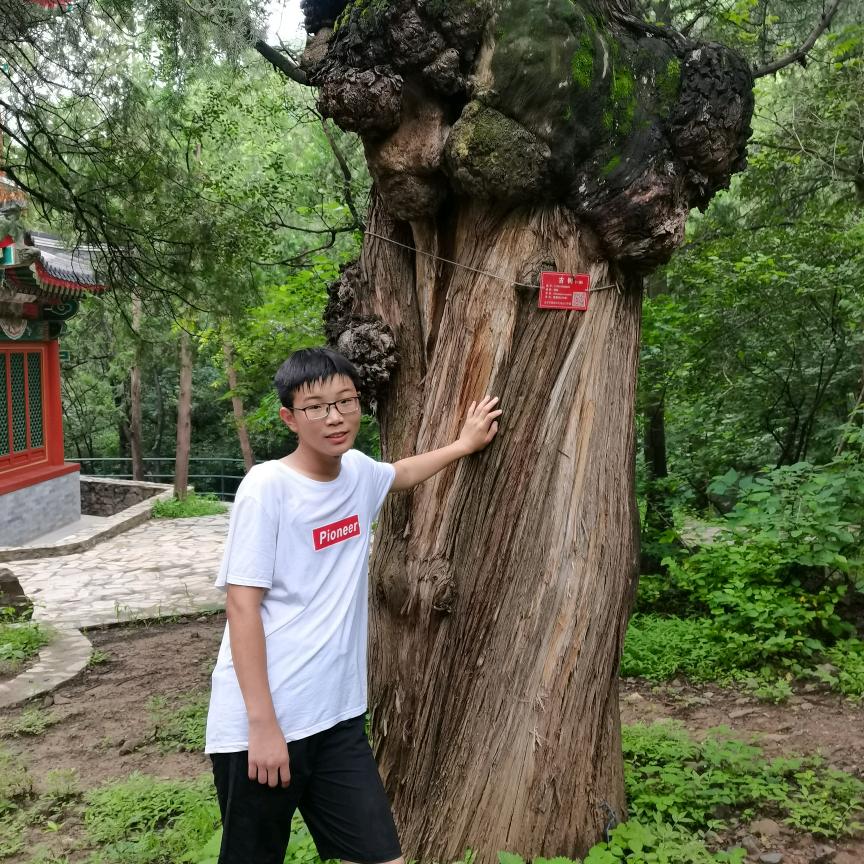 季军,专业室内装修设计