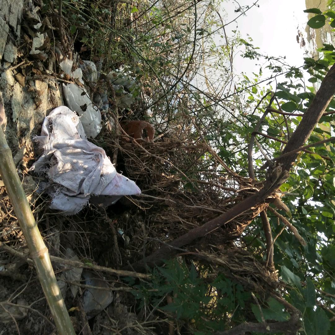 用户5884685803974风一样自由