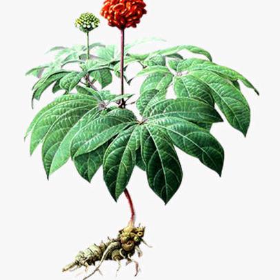 健康传递