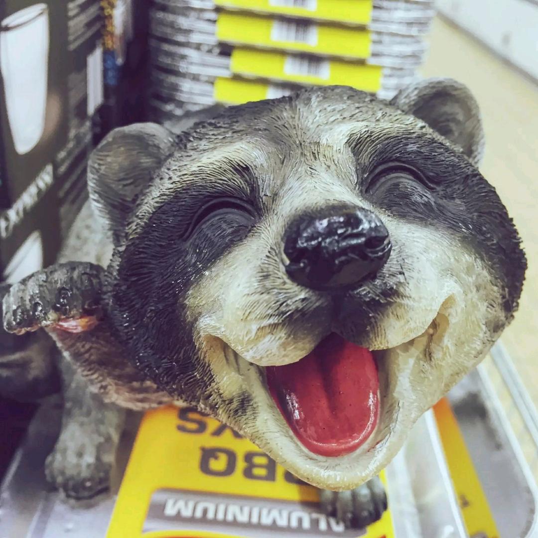 叫我大号柳月蓝