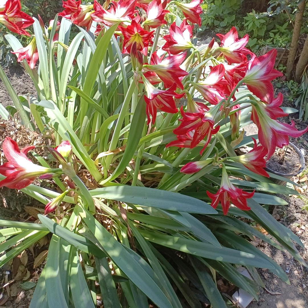 《美丽时光》幸福