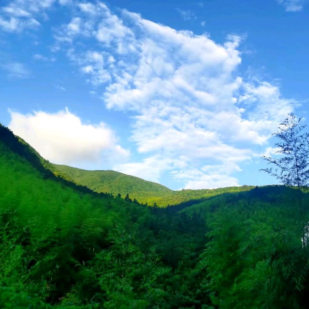 山峰农家保持好状态