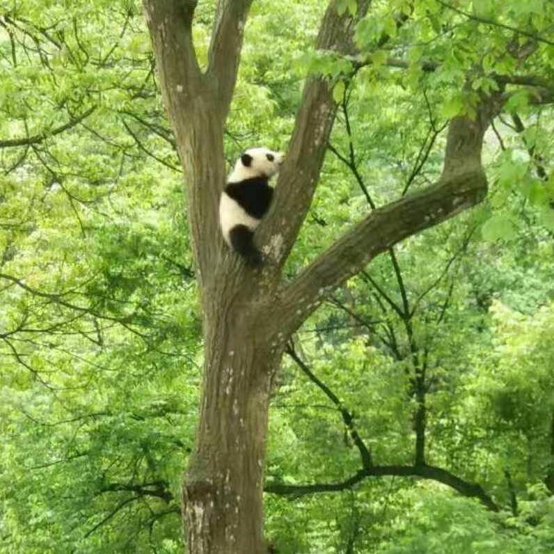 健康，快乐就好