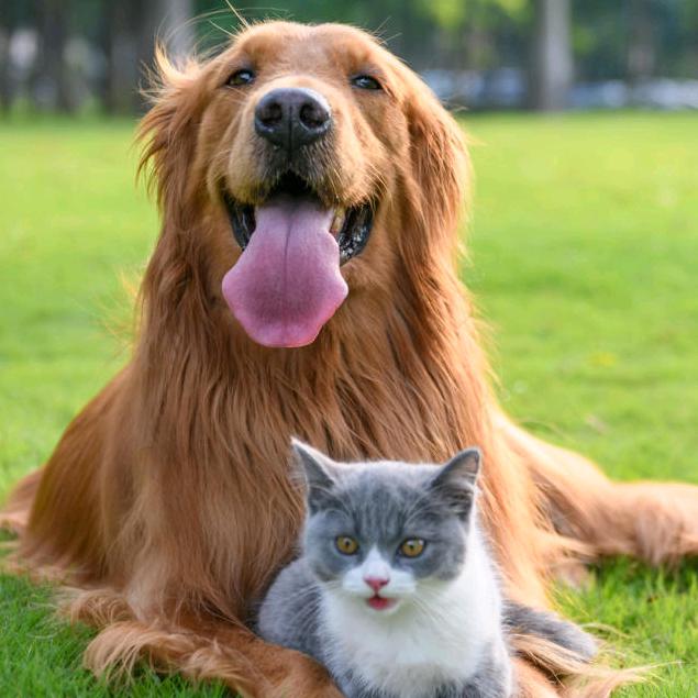 沅陵谁不认识谁