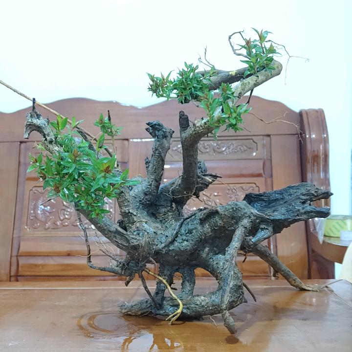 大地晏
