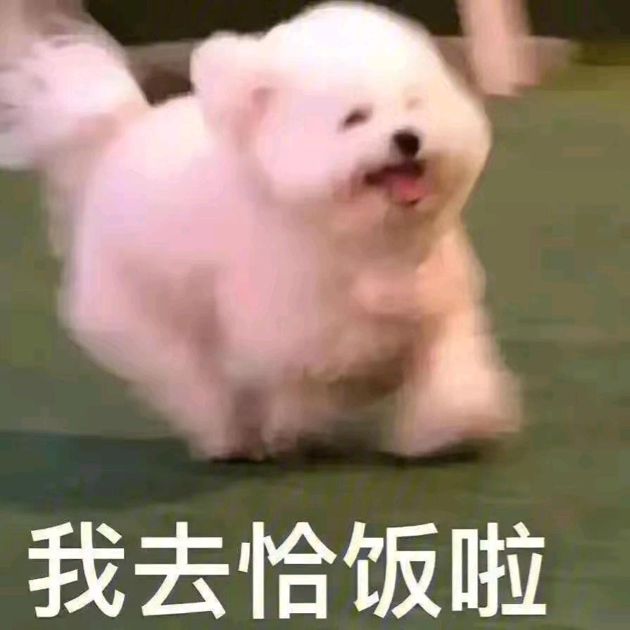 理工觅食记