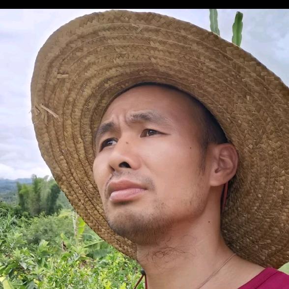 蜜蜂计划<六>