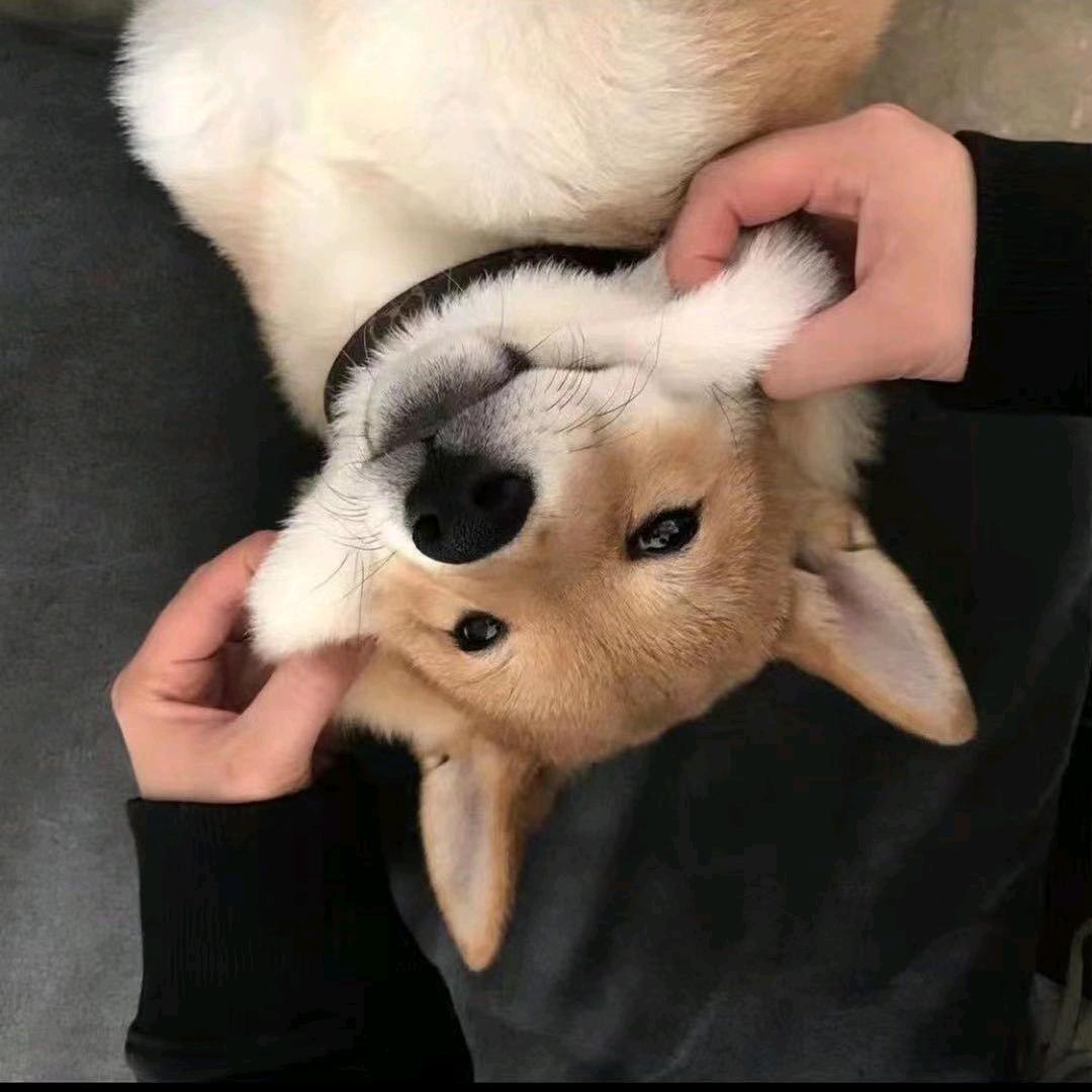 在路上              💪