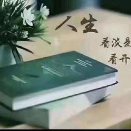 秋荷亭亭头像