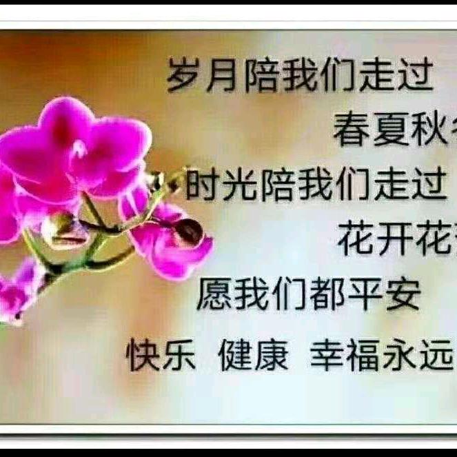 岁月静好