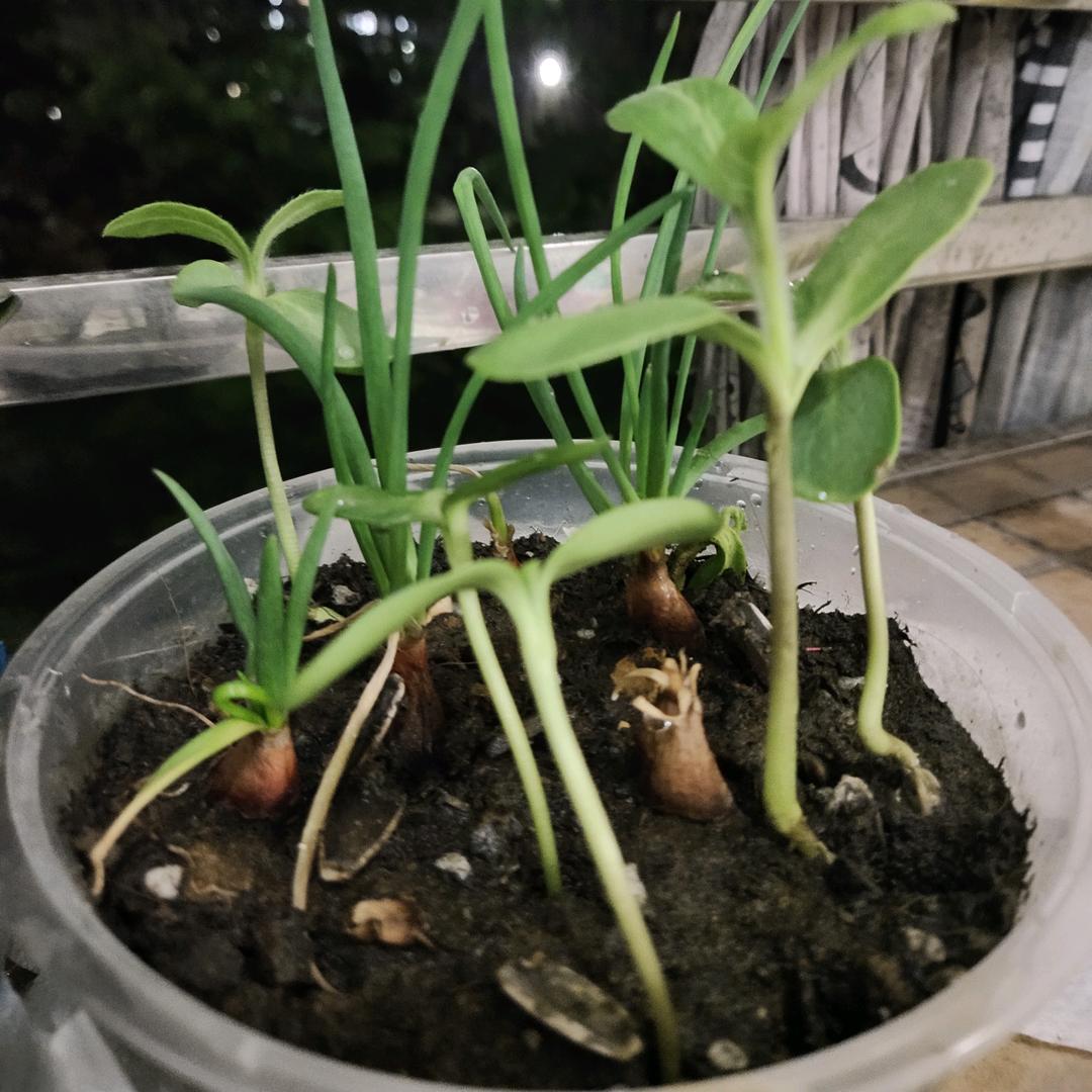 人之醒悟☘️∈￡